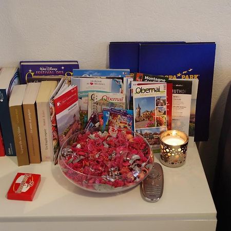 Nid Douillet A Obernai Apartment Luaran gambar