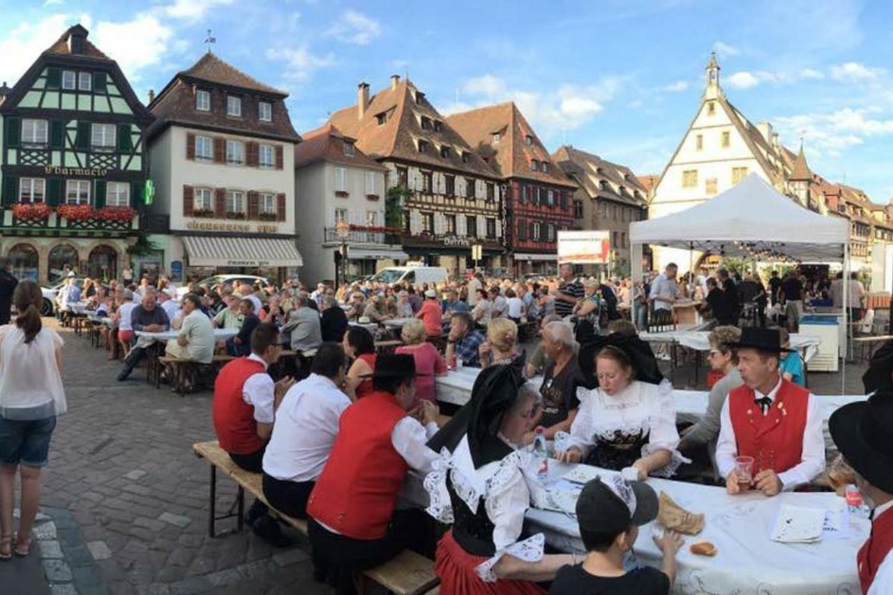 Nid Douillet A Obernai Apartment Luaran gambar