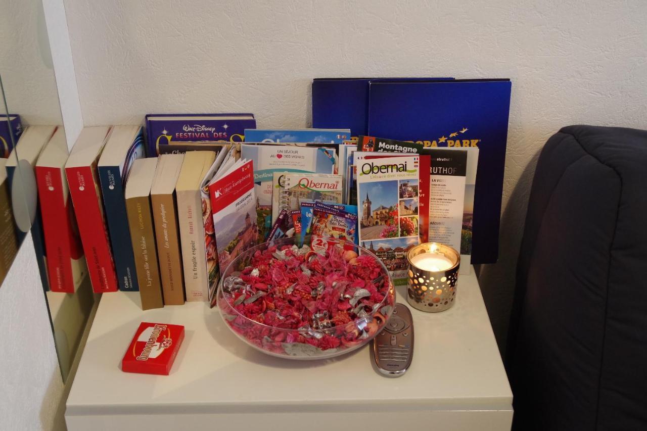 Nid Douillet A Obernai Apartment Luaran gambar